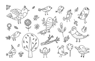 Çeşitli kuşlar ve bitkiler eğlenceli bir karalama tarzıyla çizildi. Tuhaf kuş ve bitki örtüsü canlı bir sahne yaratıyor. Çizgi film vektör illüstrasyonu.