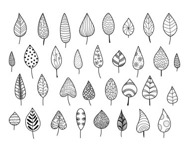 El çizimi tarzında eşsiz desenleri olan çeşitli yapraklar. Her yaprak farklı doku ve şekilleri siyah ve beyaz bir temada sergiler. Çizgi film vektör illüstrasyonu.