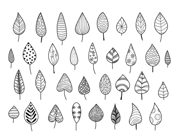 El çizimi tarzında eşsiz desenleri olan çeşitli yapraklar. Her yaprak farklı doku ve şekilleri siyah ve beyaz bir temada sergiler. Çizgi film vektör illüstrasyonu.