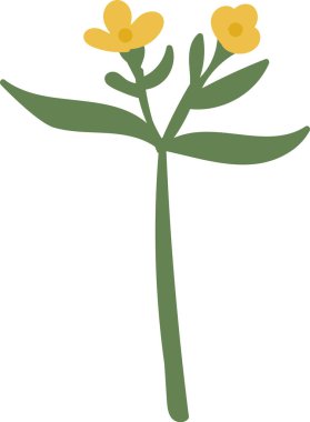 İki çiçek ve yeşil yapraklı, temiz bir vektör tarzında stilize edilmiş bir çiçek. Bitkide minimalist tasarım elementlerine sahip ince bir gövde bulunuyor. Çizgi film vektör illüstrasyonu.