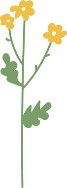 Üç çiçekli ve iki yapraklı tek bir gövde. Çiçekler ve yapraklar temiz çizgiler ve en az ayrıntıyla tasvir edilir. Çizgi film vektör illüstrasyonu.