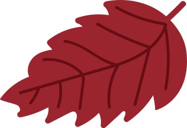 Kalın hatları ve pürüzsüz kenarları olan tek bir yaprak. Yaprak, belirgin damarları ve kıvrımlı silueti olan eşsiz bir şekil sergiliyor. Çizgi film vektör illüstrasyonu.