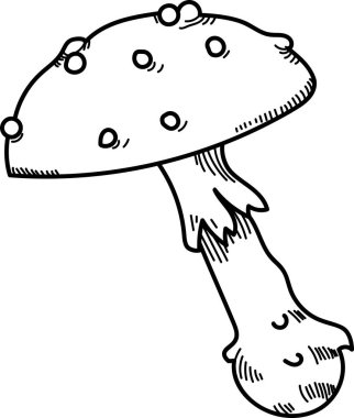 Noktalı kapaklı ve elle çizilmiş gövdeli bir mantar. Mantarda dairesel noktalar ve çizgi sanatında ayrıntılı bir sapı var. Çizgi film vektör illüstrasyonu.