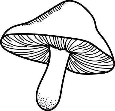 Karmaşık çizgiler ve el yapımı gölgeli bir mantar. Mantar, ince çizgiler ve gövdesindeki lekelerle betimlenir. Çizgi film vektör illüstrasyonu.