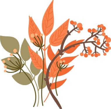 Sonbahar yaprakları ve böğürtlenler düz vektör tarzında. Böğürtlenli ve yapraklı dallar temiz ve grafik bir şekilde resmedilmiş. Çizgi film vektör illüstrasyonu.