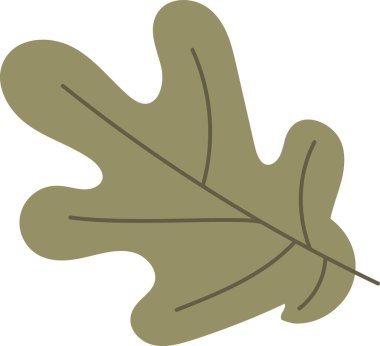 Cesur hatları ve pürüzsüz kıvrımları olan bir meşe yaprağı. Resimlerde yaprakların eşsiz şekli ve damar şekli vurgulanıyor. Çizgi film vektör illüstrasyonu.