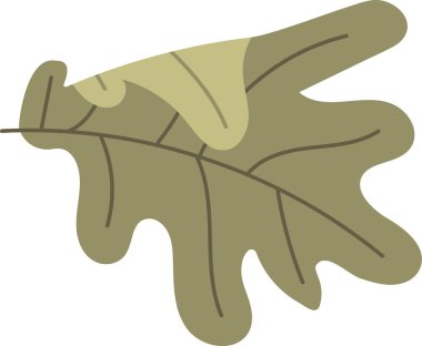 Cesur çizgileri ve katmanlı şekilleri olan soyut bir meşe yaprağı. Yaprakta stilize damarlar ve pürüzsüz bir doku var. Çizgi film vektör illüstrasyonu.