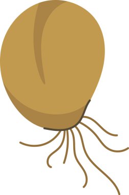 Kökleri temiz, çizgi film tarzında betimlenmiş filizlenmiş bir tahıl. Tohum basit çizgiler ve pürüzsüz şekillerle gösterilir. Çizgi film vektör illüstrasyonu.