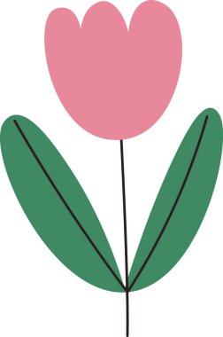 Düz çizilmiş iki uzun yapraklı bir lale. Çiçek pürüzsüz çizgiler ve temiz bir bakışla tasvir edilir. Çizgi film vektör illüstrasyonu.