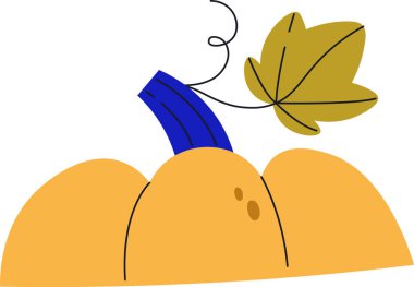 Kıvırcık saplı bir balkabağı ve kalın bir grafik tarzı olan tek bir yaprak. İllüstrasyon, modern bir görünüm yaratmak için basit şekiller ve çizgiler kullanır. Çizgi film vektör illüstrasyonu.