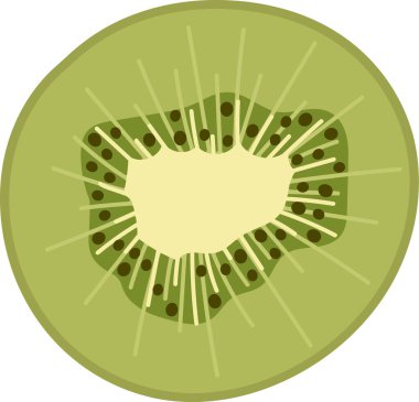Tohumları ve radyal çizgileri düz olan detaylı bir kivi dilimi. Meyve kesitleri küçük tohumlarla çevrili merkezi bir çekirdek gösteriyor. Çizgi film vektör illüstrasyonu.