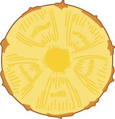 Çizgili çizgileri ve çizgi film tarzında pürüzlü kenarları olan ayrıntılı bir ananas dilimi. Resimde, karmaşık desenleri olan dairesel bir meyve kesiti gösteriliyor. Çizgi film vektör illüstrasyonu.