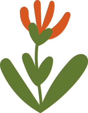 Uzun taç yaprakları ve yaprakları sadeleştirilmiş bir çiçek. Bitki pürüzsüz hatlara ve modern bir görünüm yaratan kalın şekillere sahiptir. Çizgi film vektör illüstrasyonu.