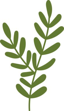 Yuvarlak yapraklı tek bir dal, temiz ve düz bir şekilde. Resimde oval yapraklı basit bir dal minimalist bir biçimde tasvir ediliyor. Çizgi film vektör illüstrasyonu.