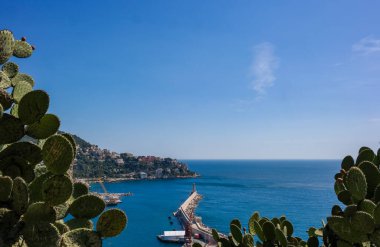 Nice kıyısına bakan yeşil dikenli armut kaktüsü, denizde bir deniz feneri. Güneşli bir gün, aileyle bir gezi. Yüksek kalite fotoğraf