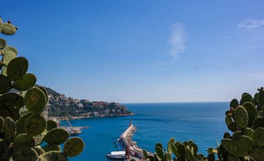 Nice kıyısına bakan yeşil dikenli armut kaktüsü, denizde bir deniz feneri. Güneşli bir gün, aileyle bir gezi. Yüksek kalite fotoğraf