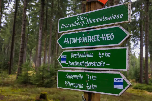 Ormanda Almanca bir tahta direğin üzerindeki yeşil işaretler. Yakın plan. Avrupa. Yüksek kalite fotoğraf