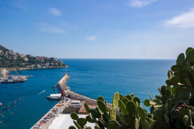 Nice kıyısına bakan yeşil dikenli armut kaktüsü, denizde bir deniz feneri. Güneşli bir gün, aileyle bir gezi. Yüksek kalite fotoğraf