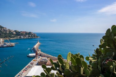 Nice kıyısına bakan yeşil dikenli armut kaktüsü, denizde bir deniz feneri. Güneşli bir gün, aileyle bir gezi. Yüksek kalite fotoğraf