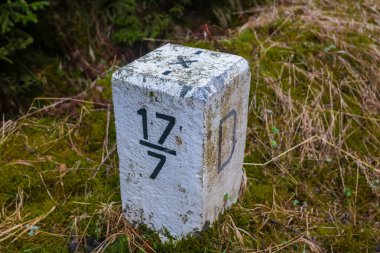 Ormandaki sınır taşları. Czech Cumhuriyeti ve Almanya 'nın sınırı. Yüksek kalite fotoğraf
