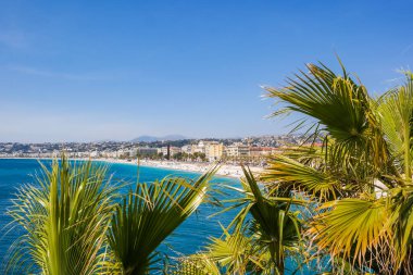 Gözlem güvertesinden Nice şehri manzarası. Sahil manzaralı palmiye ağaçları çok yakın. Fransa Cote dAzur 'u. Yüksek kalite fotoğraf