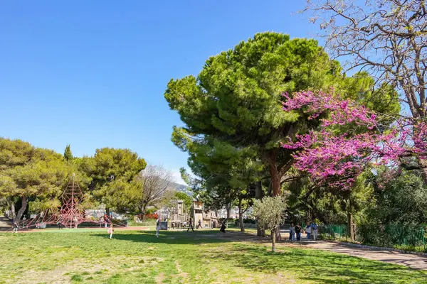 Nice 'teki gözlem güvertesinde çiçek açan güzel ağaçların olduğu yeşil bir parkta oyun parkı. Yüksek kalite fotoğraf