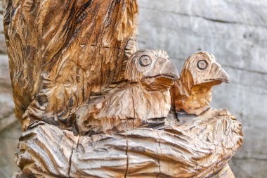 Yuvada oturan iki kartal yavrusu. Tahtadan oyulmuş bir heykel. Tahta oyma. Yüksek kalite fotoğraf
