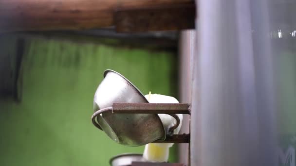 Χαριτωμένο Cockatoo Cacatuidae Που Τρώει Από Μπολ Σίτιση Κακατούχα Ζώα — Αρχείο Βίντεο