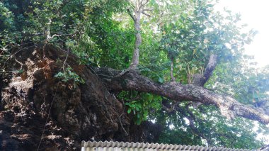 Boulder within the island , Red rock 