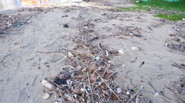 Dirty Coastline lots of trash and tree branches, sand beach,Boat,Sunlight 