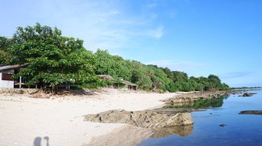 Blue beach view, blue sky, island and gorgeous green trees on tropical beach, Panoramic view. Vintage tone filter effect color style. Nature tropical beach sea.