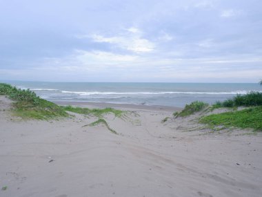 Sand Dunes white beach Green grass, and bright blue sky on tropical Indonesian beach, panoramic view