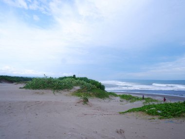 Sand Dunes white beach Green grass, and bright blue sky on tropical Indonesian beach, panoramic view