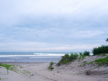 Sand Dunes white beach Green grass, and bright blue sky on tropical Indonesian beach, panoramic view