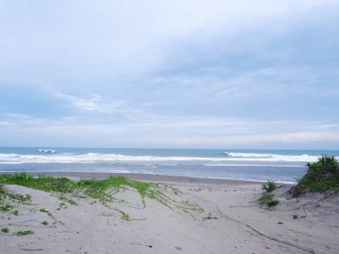 Sand Dunes white beach Green grass, and bright blue sky on tropical Indonesian beach, panoramic view