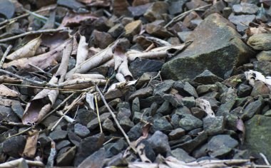 Bir yığın beyaz ve siyah taş.