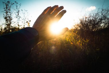 Eller ve çimenler güneşte