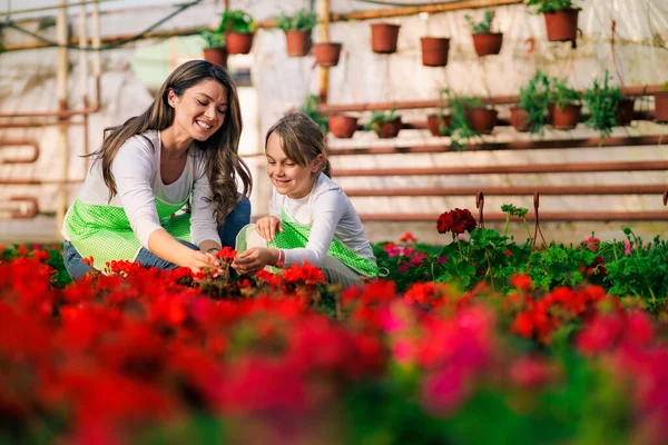 A young woman teaches her daughter about their small business in a flower greenhouse.