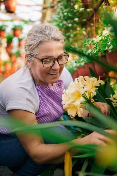 Seradaki 50 'li yaşlardaki kadın..