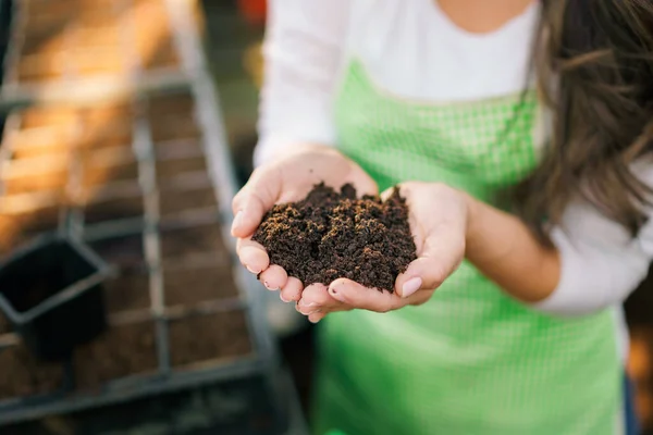 Dünya 'nın kadın ellerindeki fotoğrafını kapat..