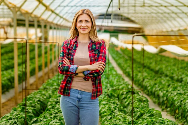 Serada gülümseyen güzel bir tarımcı kadının portresi..
