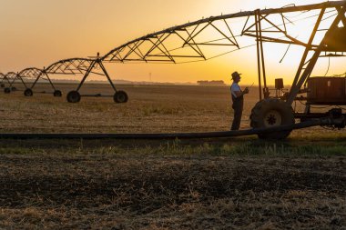 Yaşlı çiftçi tableti elinde tutuyor ve sulama sistemini gün batımında tarlada düzeltiyor..