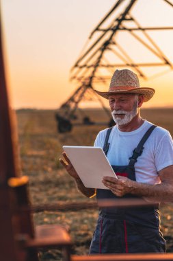 Yaşlı çiftçi tableti elinde tutuyor ve sulama sistemini gün batımında tarlada düzeltiyor..