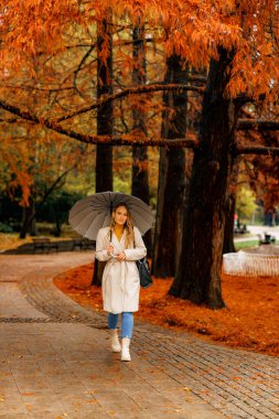 Yağmurlu bir günde, sonbahar parkında yürüyüş yapan şemsiyeli kadın, yere turuncu ve kırmızı yapraklar düştü.