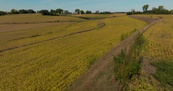 Uma Vista Aérea Colinas Terras Agrícolas Casas Câmera Olha Lentamente — Vídeo de Stock