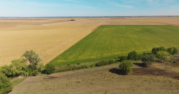 Una Vista Aerea Guardando Terreni Agricoli Pianeggianti Nelle Grandi Pianure — Video Stock
