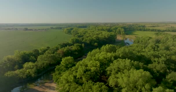 Aerial Little Blue River Nebraska Camera Looks Right Trees Farmland — Stock Video