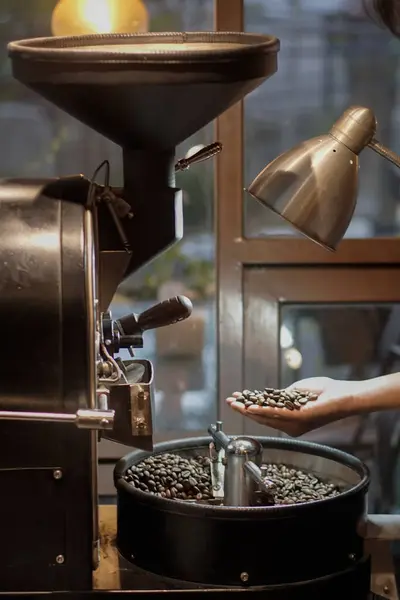 Bir kahve kızartma makinesinin yakın plan çekiminde içinde kavrulmuş kahve çekirdekleri olan bir toplama tepsisi bulunur. Bir el fasulye tutarken görülüyor.