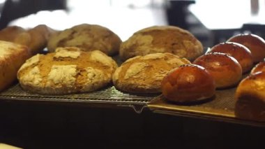 Çeşitli taze fırınlanmış zanaatkar ekmekleri tezgahın üzerinde.