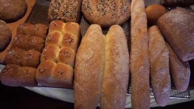 Çeşitli taze fırınlanmış zanaatkar ekmekleri tezgahın üzerinde.